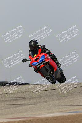 media/Feb-10-2023-TrackDaz (Fri) [[827c11d241]]/C Group/1245pm (Outside Grapevine)/